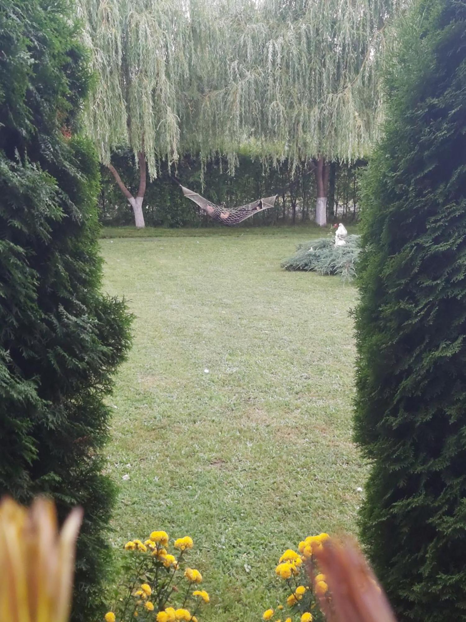 Pensiunea Maya Sîmbăta de Sus Exterior foto